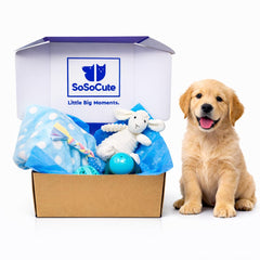 SoSoCute kit chiot bleu - emballage soigné pour accueillir un nouveau compagnon.