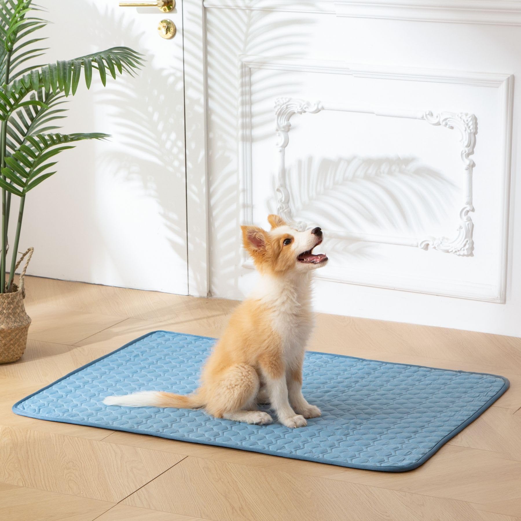 Tapis Soulbond XXL parfait pour les chiens qui aiment s’étirer.