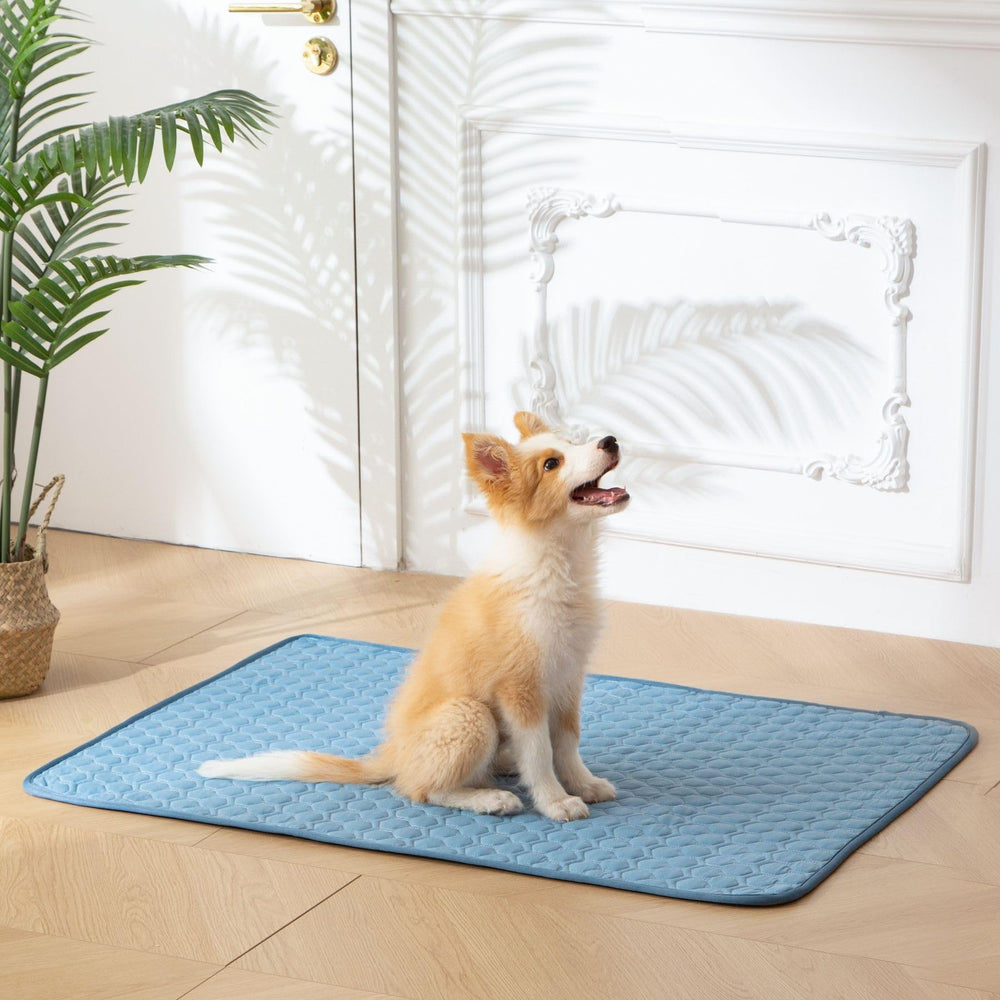 Tapis Soulbond XXL parfait pour les chiens qui aiment s’étirer.