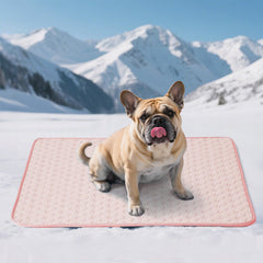Soulbond Tapis Refroidissant 29x40 déployé sur le sol, frais immédiat pour votre animal.