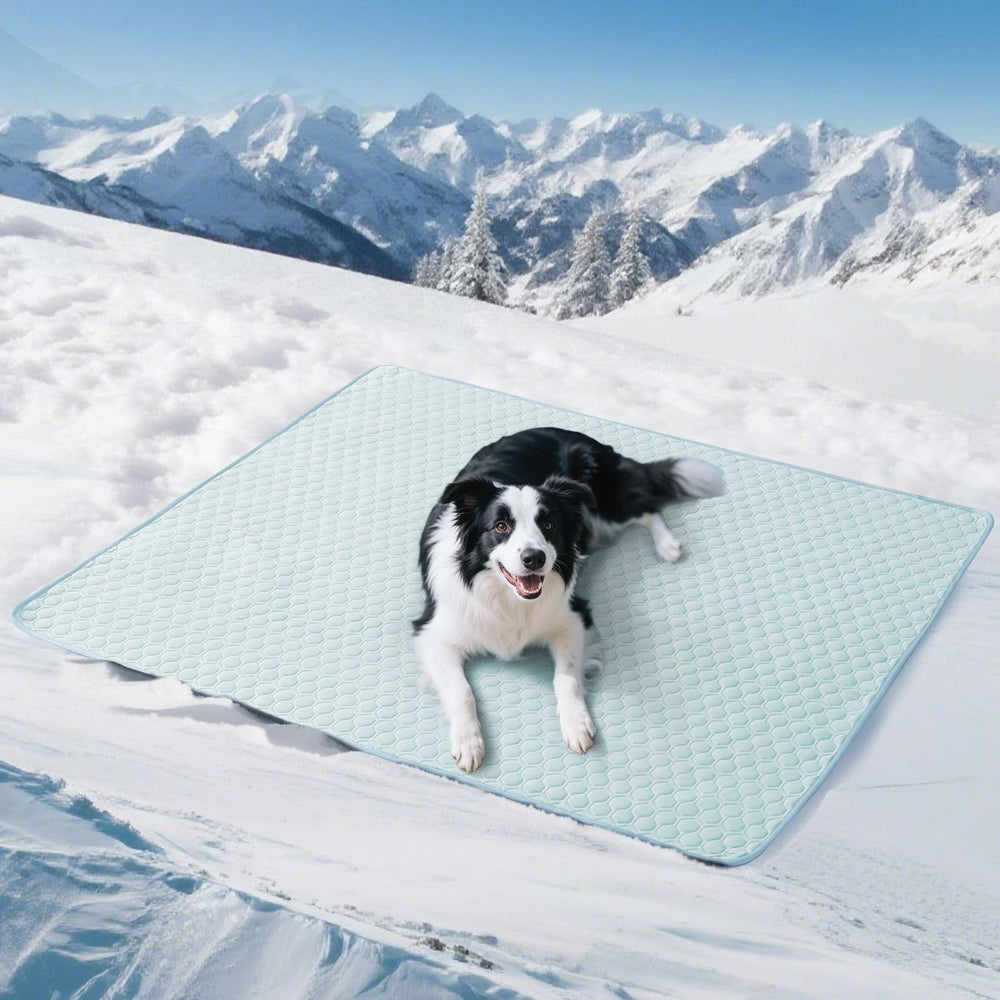 Soulbond-tapis-refroidissant-chien-extra-large offrant confort immédiat lors des chaleurs.