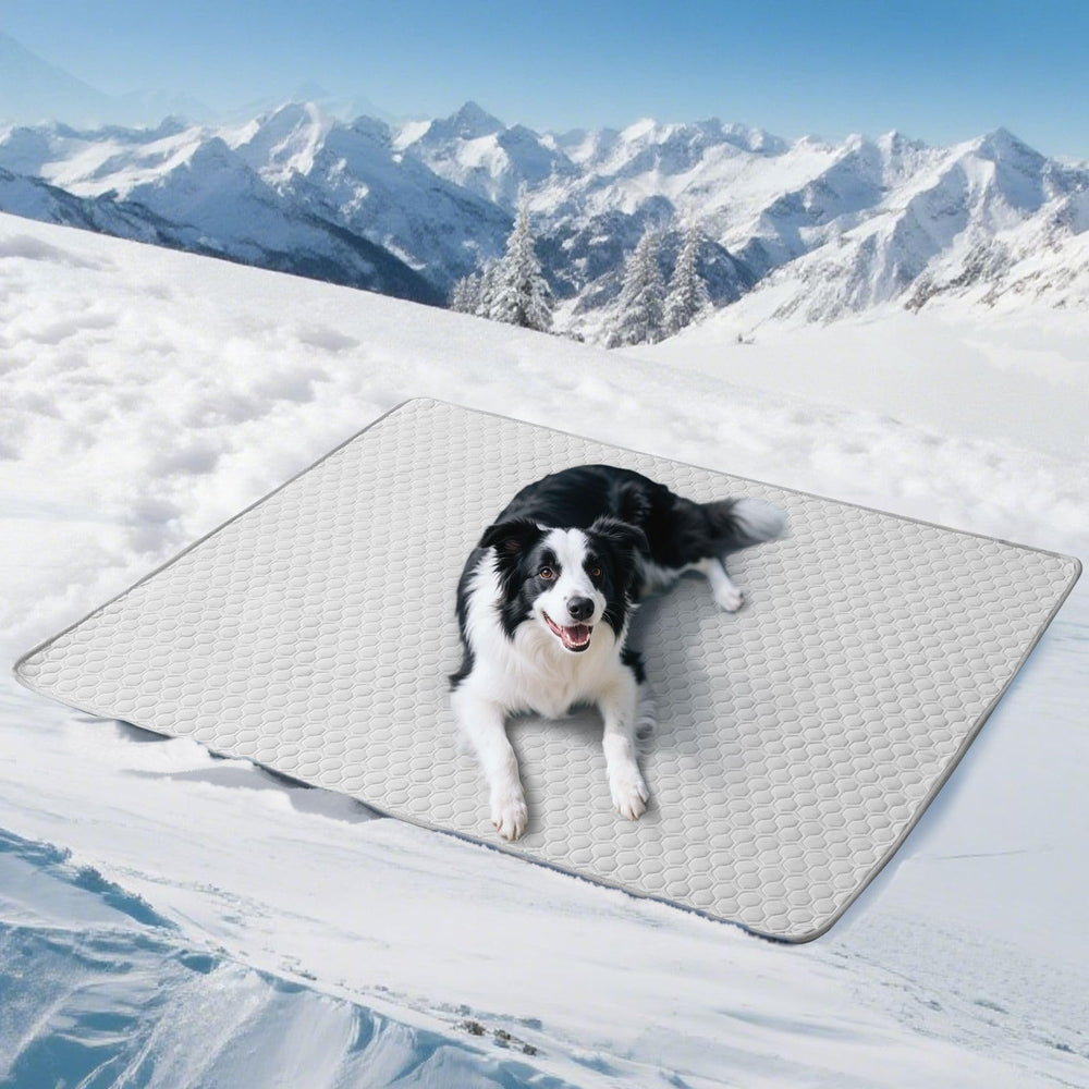 Soulbond Tapis Refroidissant XL – surface froide instantanée pour chien lors des journées chaudes.