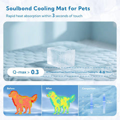 Soulbond Tapis pliable – idéal pour voyage et déplacement.