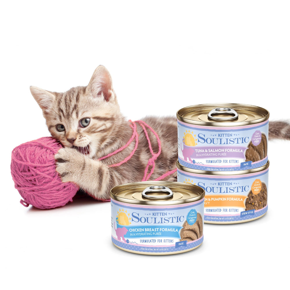 Soulistic nourrissant pour la croissance du chaton, support nutritif.
