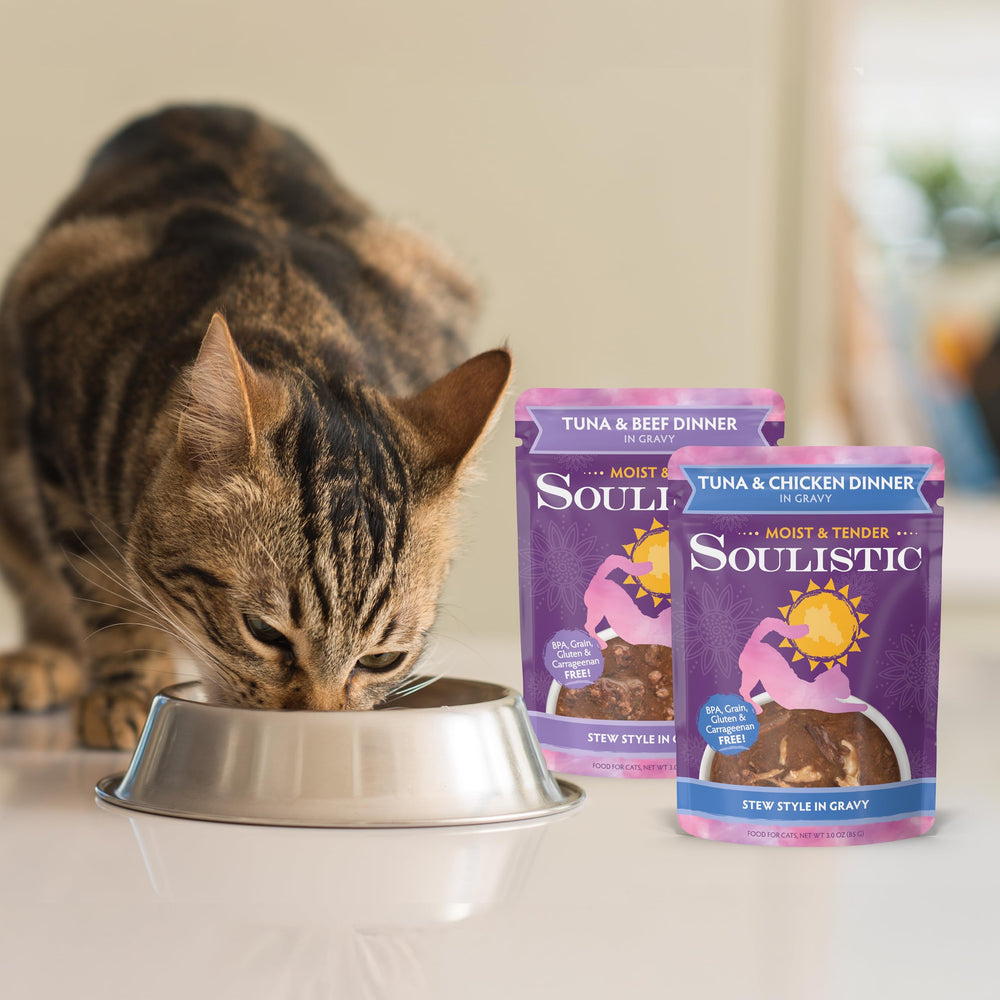 Service quotidien de Soulistic pour chats, portion pratique
