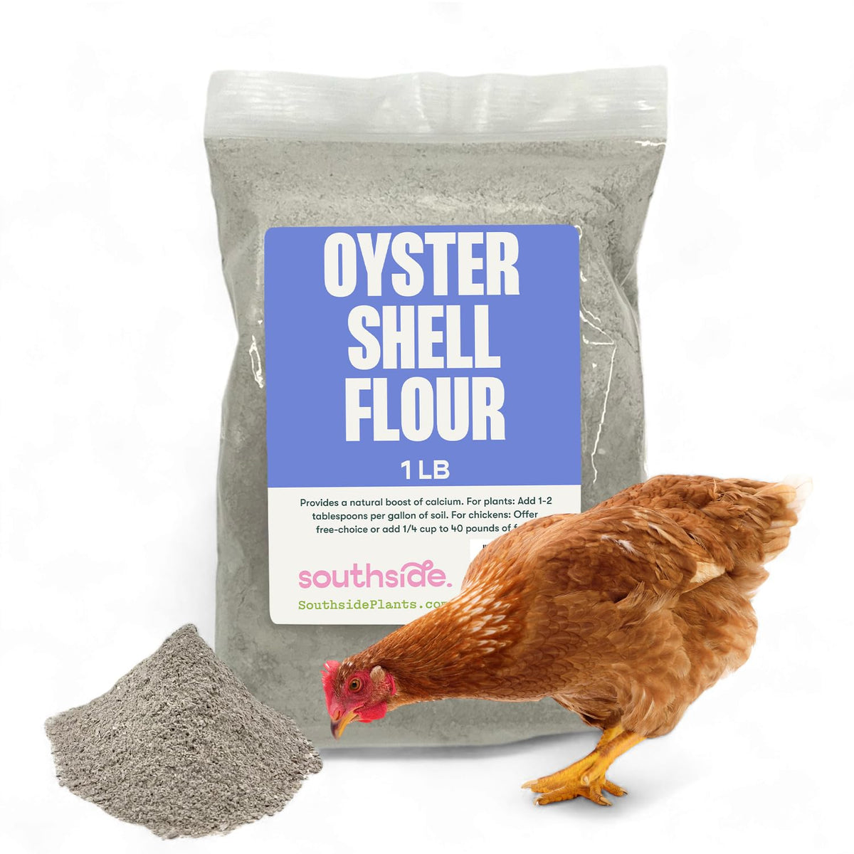 Southside Plants Farine coquilles huître bocal: source calcium poules et reptiles