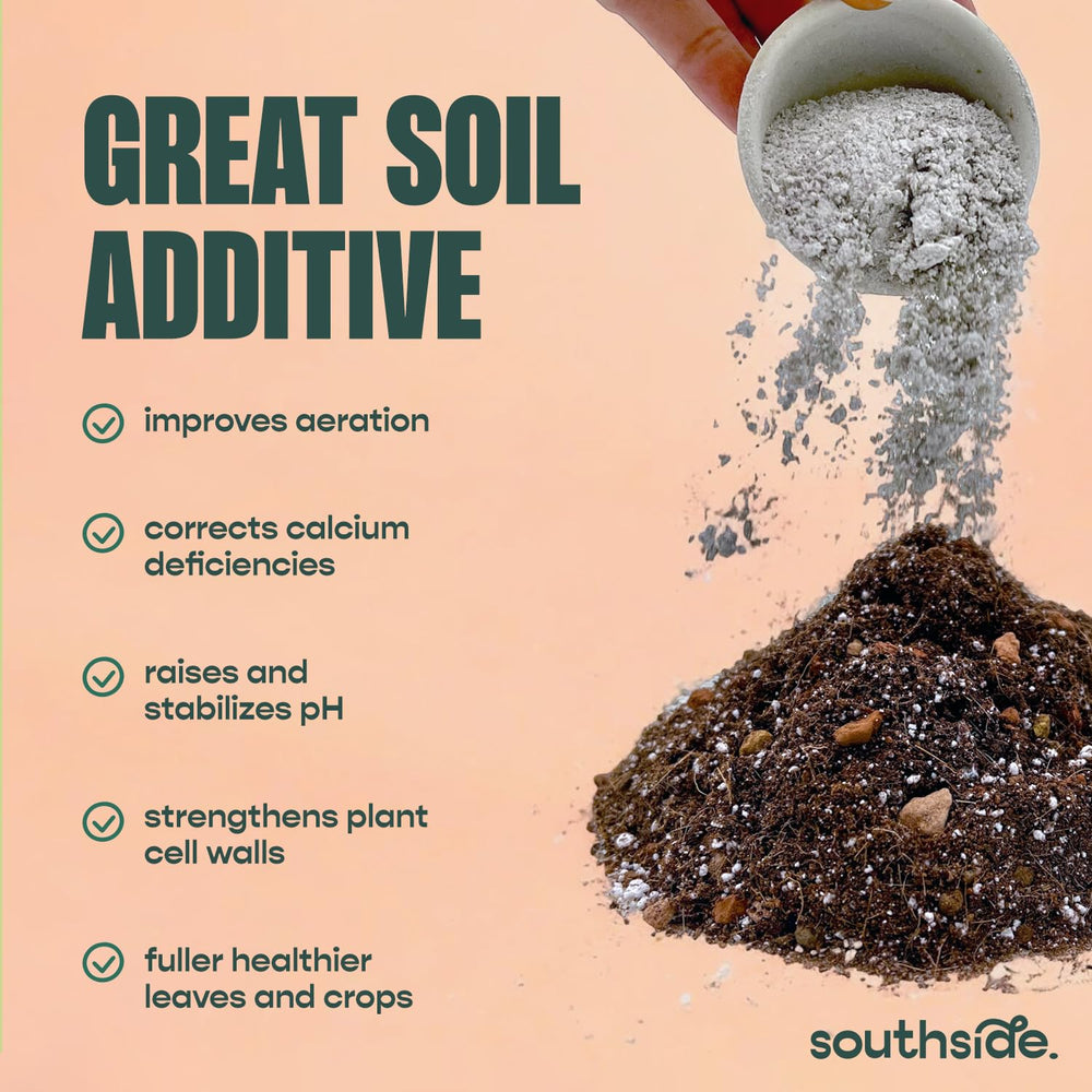 Southside Plants Farine coquilles huître substrat-mille-pattes: apport calcium régulier pour animaux