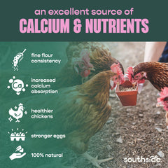 Southside Plants Farine coquilles huître texture-granulee: absorption efficace des nutriments