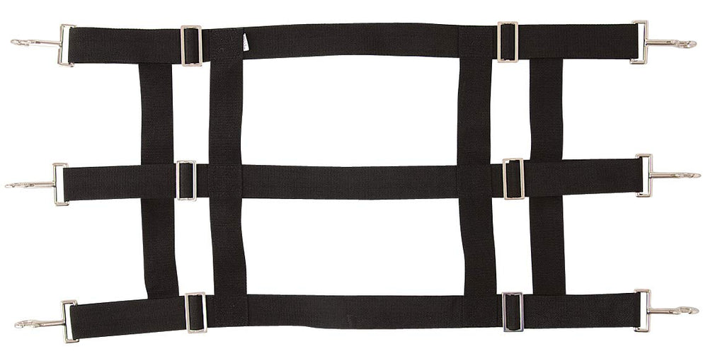 Barriere de stalle Southwestern Equine en nylon premium sur porte, ventilation et visibilite accrues.