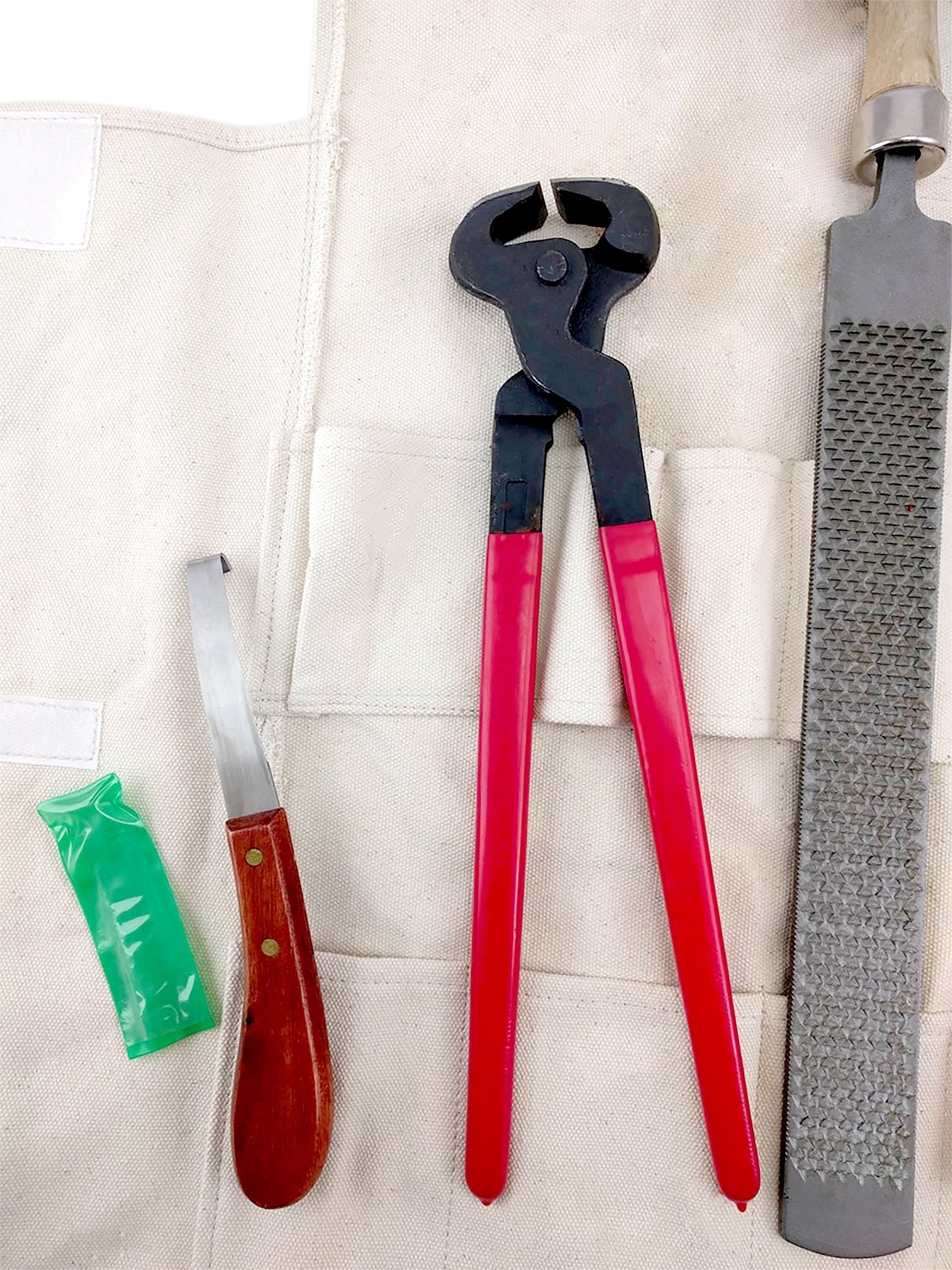 Southwestern Equine: outils inclus, pince à ferrer prête à l’emploi.