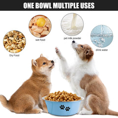 Bol SOUXU en inox bleu 53oz, pratique pour chiens de petite taille.