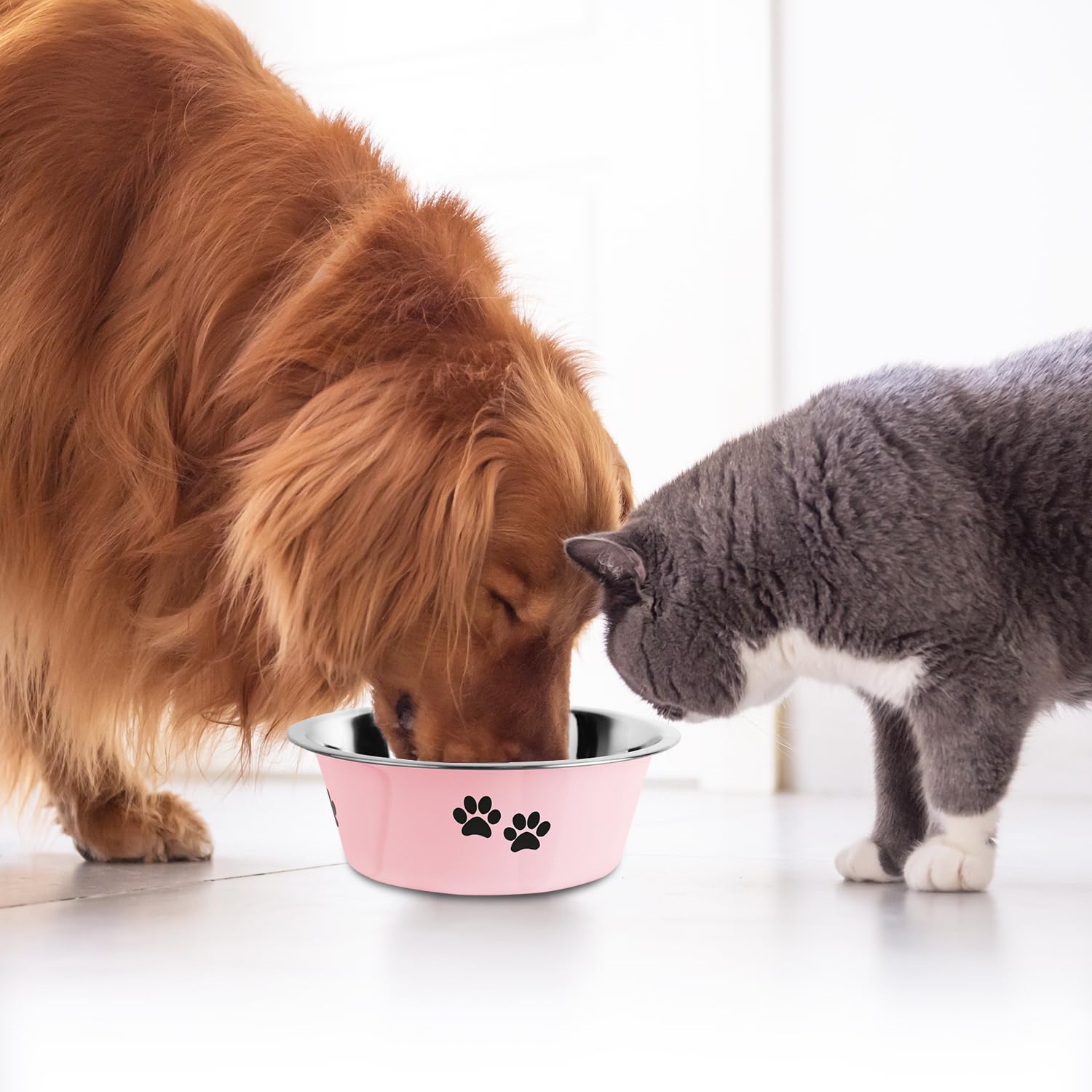 Bol Souxu au design élégant pour les repas quotidiens des chiens.