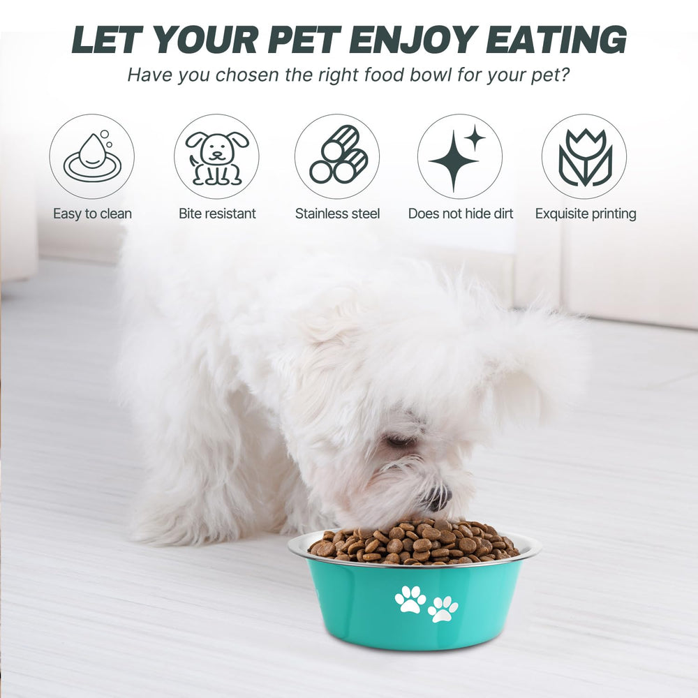 Durabilite du bol inox SOUXU pour chiens de toutes tailles.