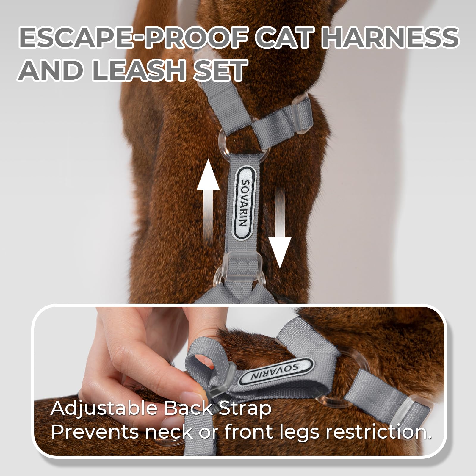 Sovarin design ajustement complet offrant liberté de mouvement pour votre chat.