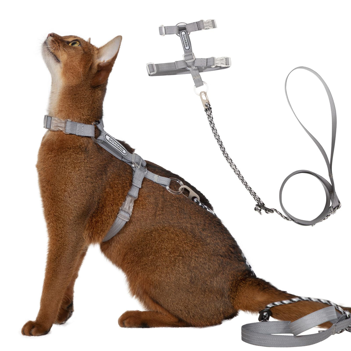 Sovarin harnais chat gris, léger et confortable pour promenades sans effort.
