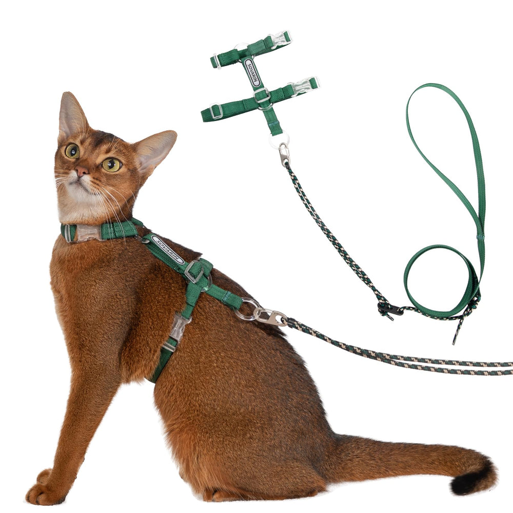 Harnais Sovarin pour chat, vue avant, léger et confortable pour les balades.