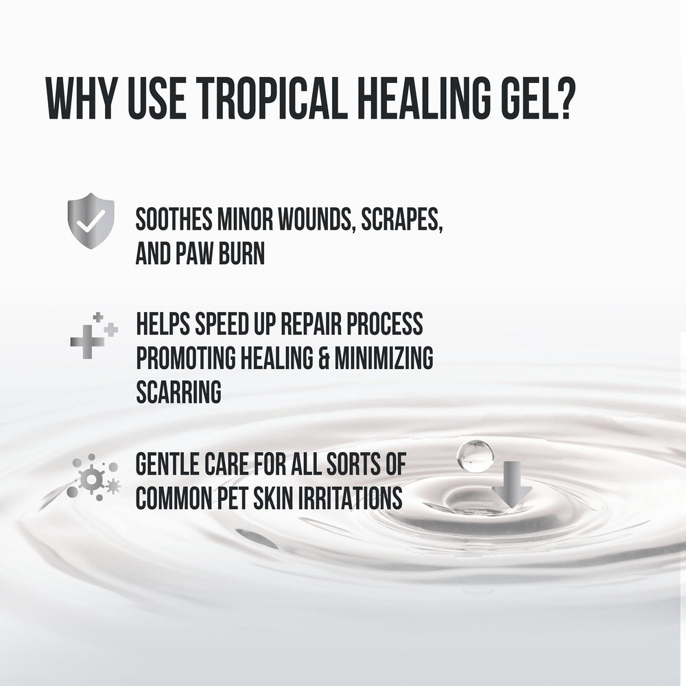 Formule GMP du gel Sovereign Silver pour soins cutanés animaux