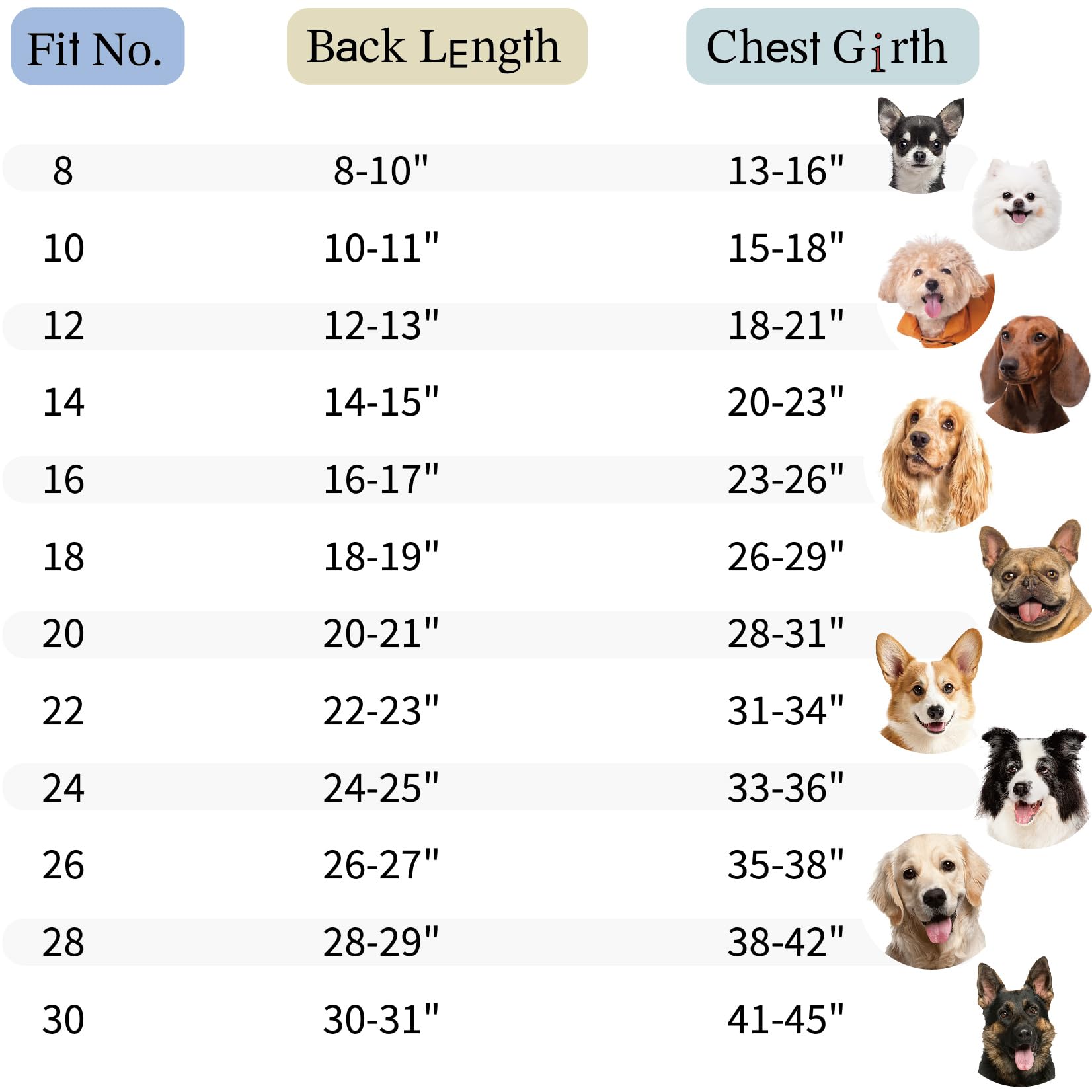SPACE LION doudoune chien anti-vent khaki: ajustement et harnais pratique