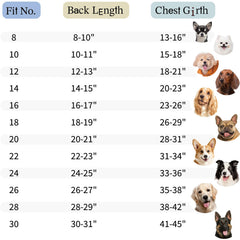 SPACE LION doudoune chien anti-vent khaki: ajustement et harnais pratique