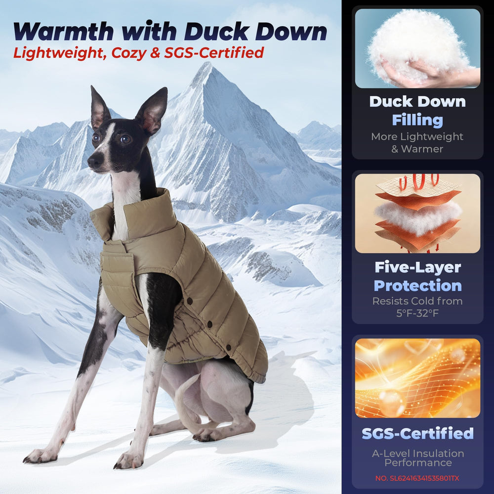 SPACE LION doudoune chien hiver khaki 16-xl: protection contre le vent et le froid