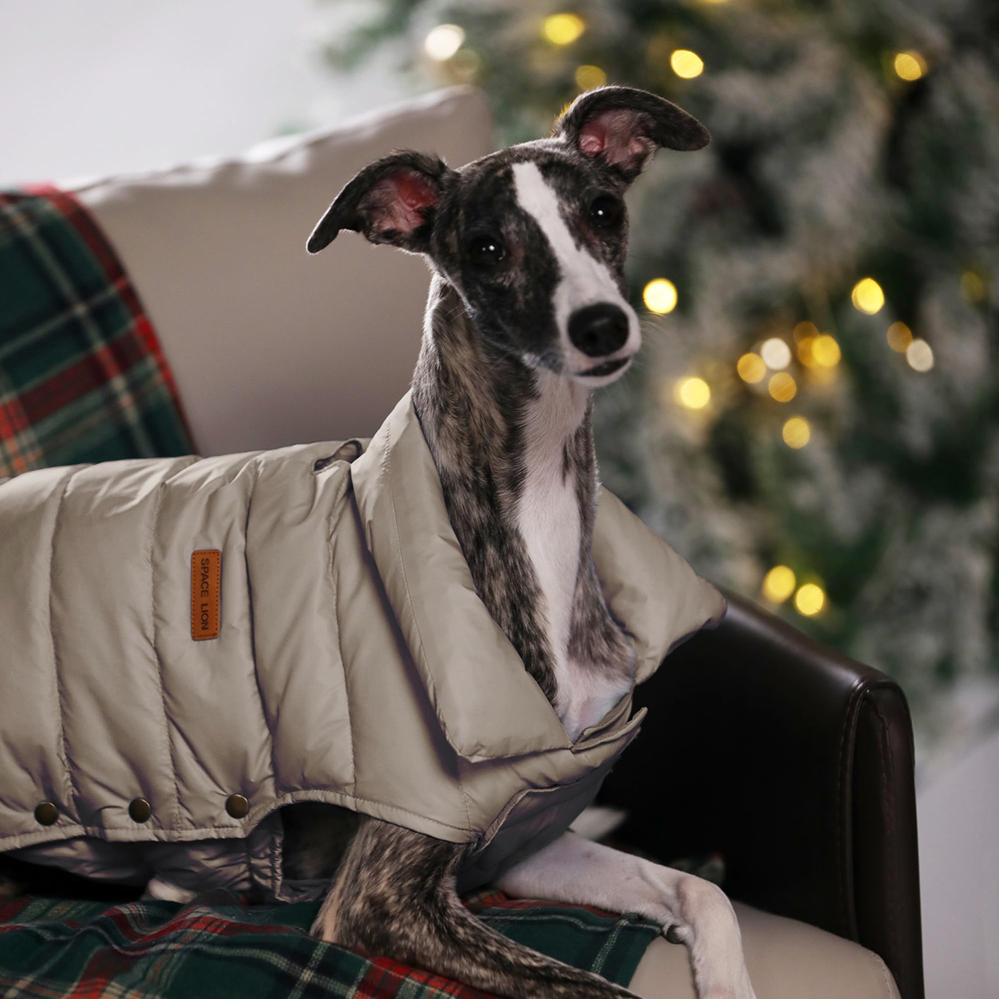 SPACE LION manteau-puffer chien compactable khaki: pliable et facile à transporter