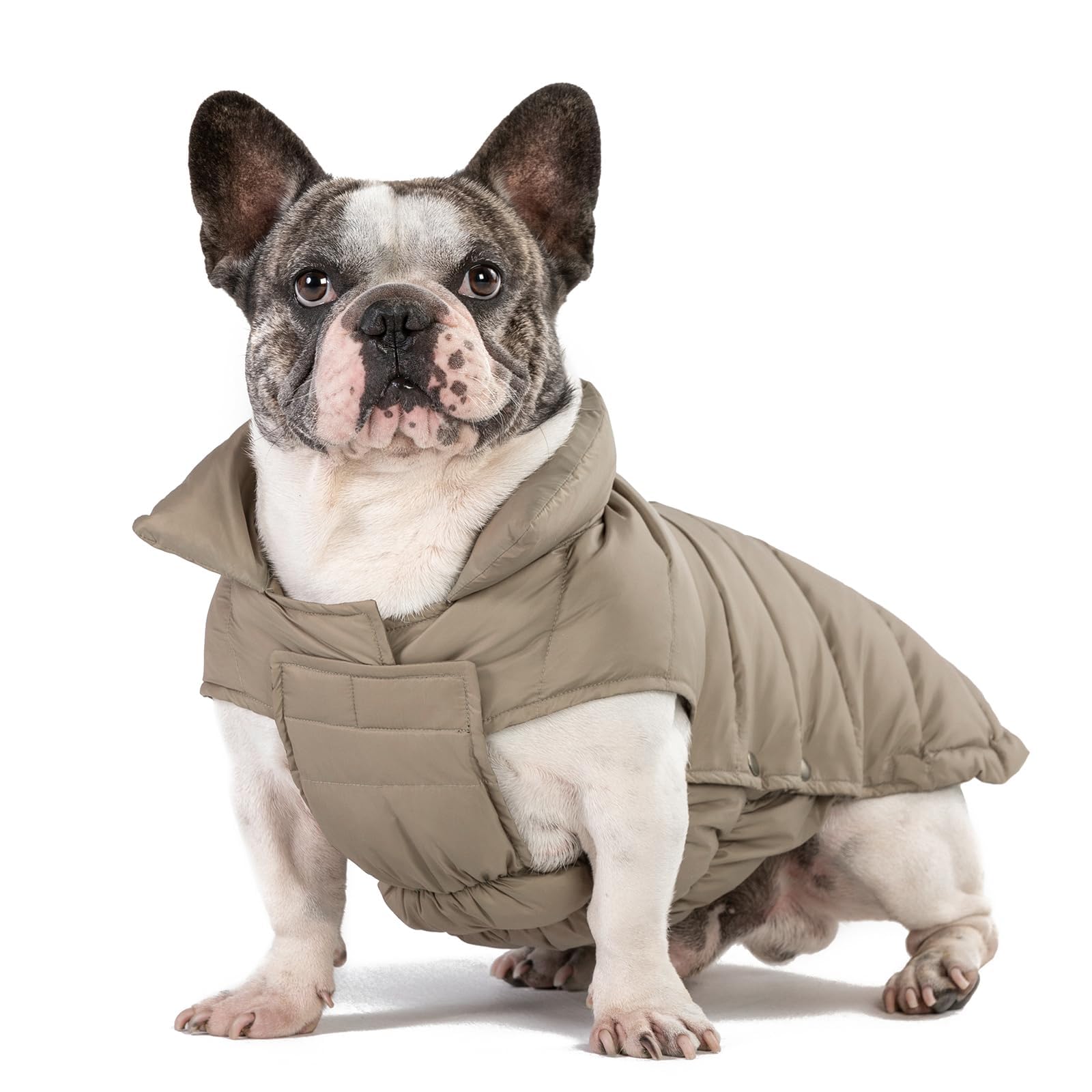 SPACE LION manteau-puffer pour chien khaki 16-xl: chaleur légère pour balades hivernales