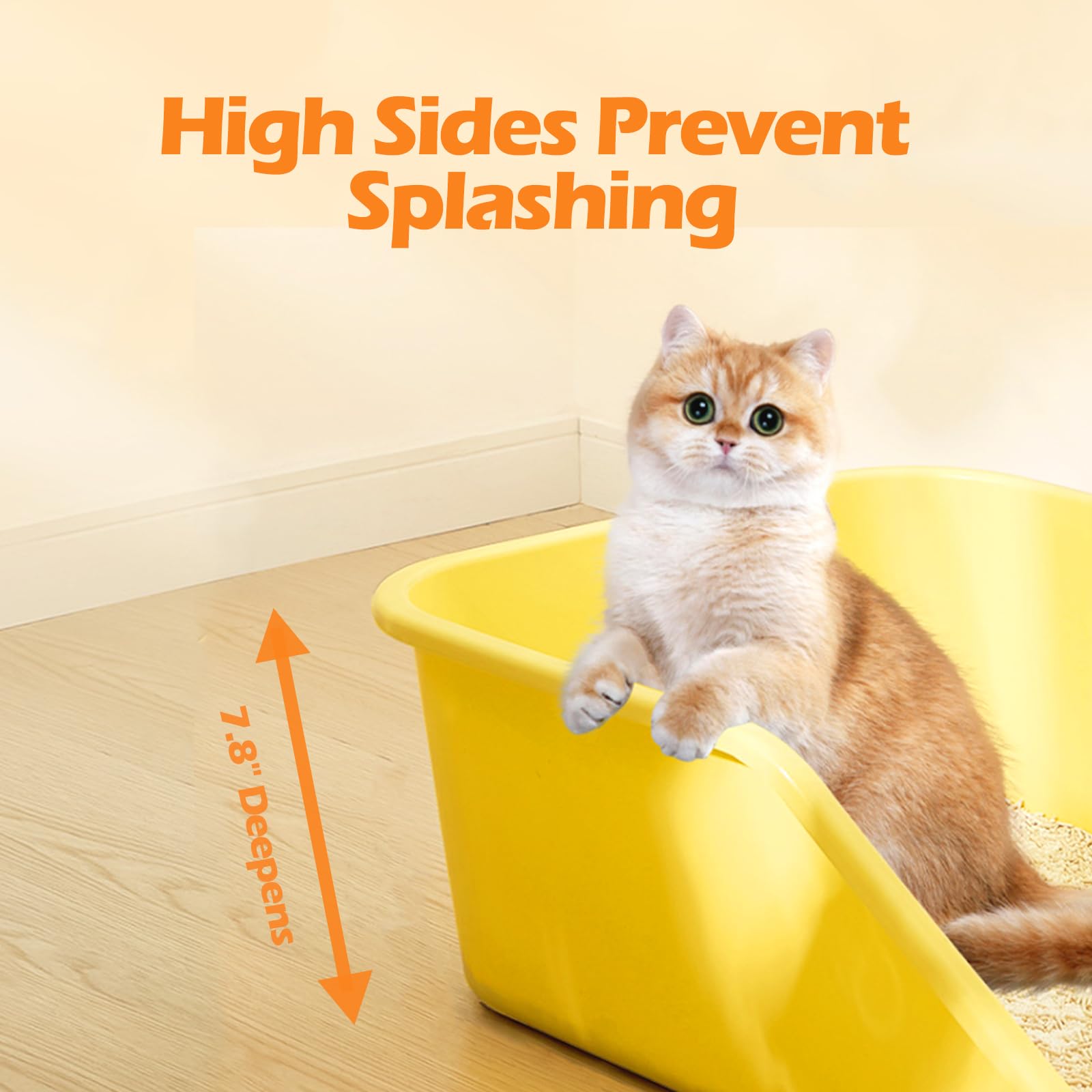 SpaceTime bac-litiere chat durable, construction robuste pour usage quotidien.
