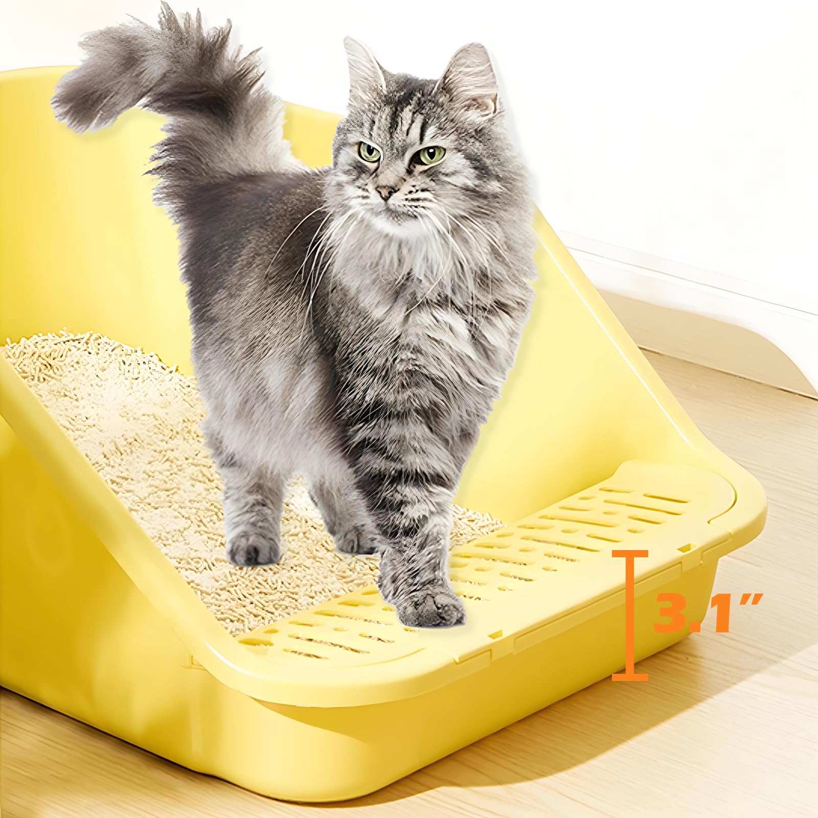 SpaceTime bac-litiere chat facile-entretien, surfaces lisses et nettoyage rapide.