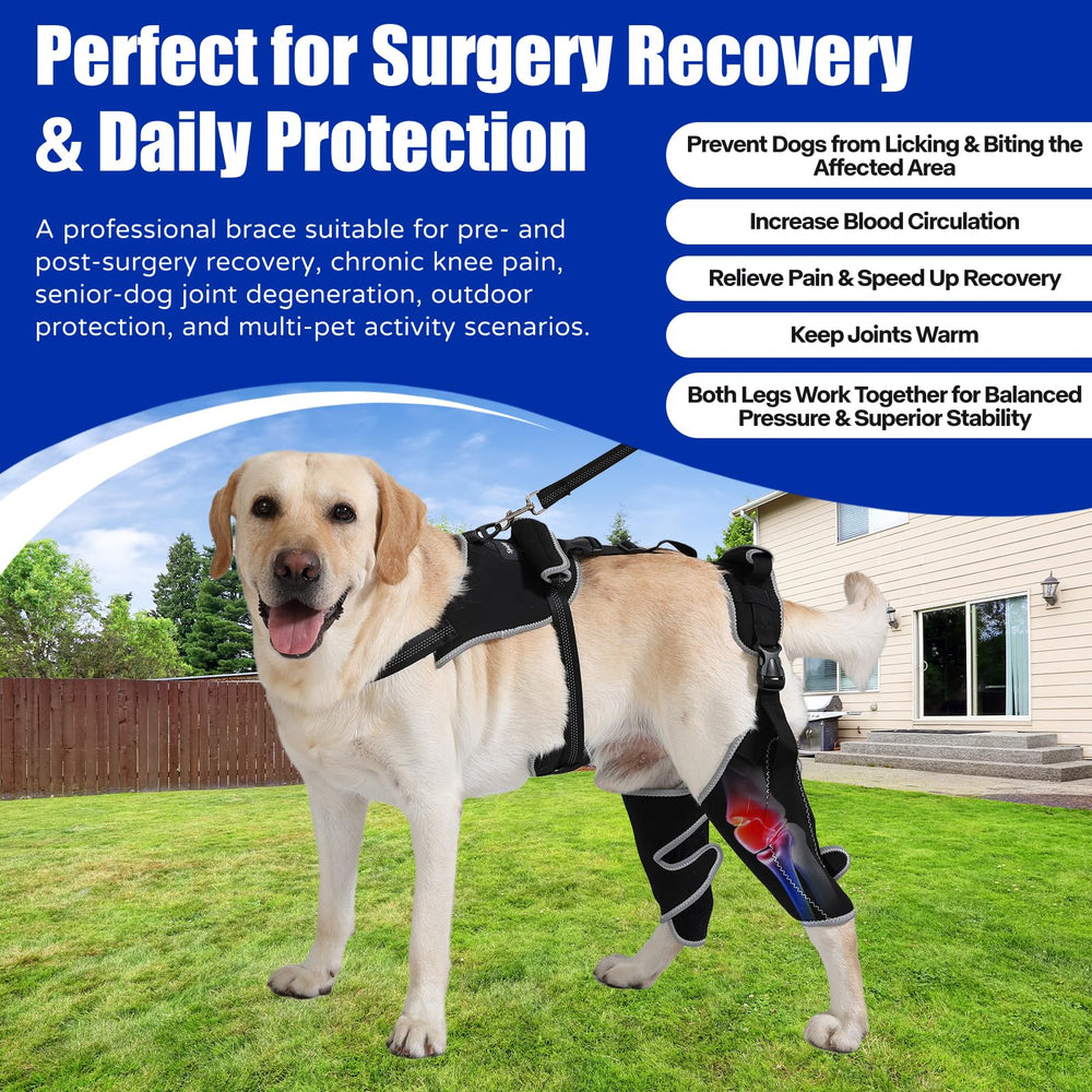 Spajoy orthèse genou chien, soulage potentiellement l’arthrite et les douleurs articulaires.