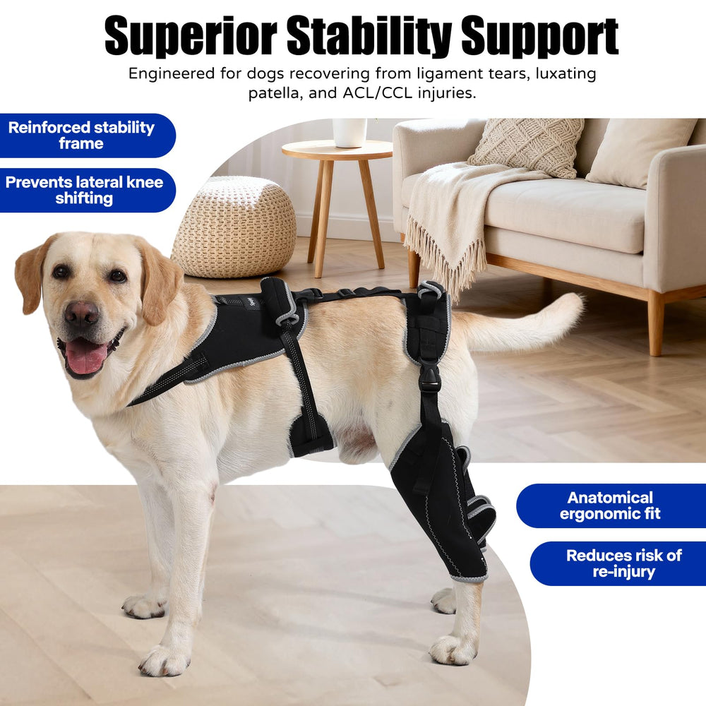 Spajoy stabilisateur genou chien: améliore la position et limite les mouvements douloureux.