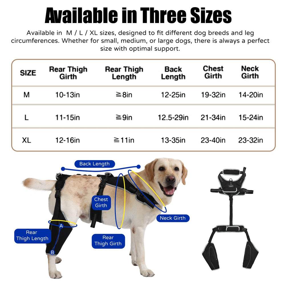 Spajoy taille adjustable genou chien: s'adapte à différentes morphologies pour un maintien sûr.
