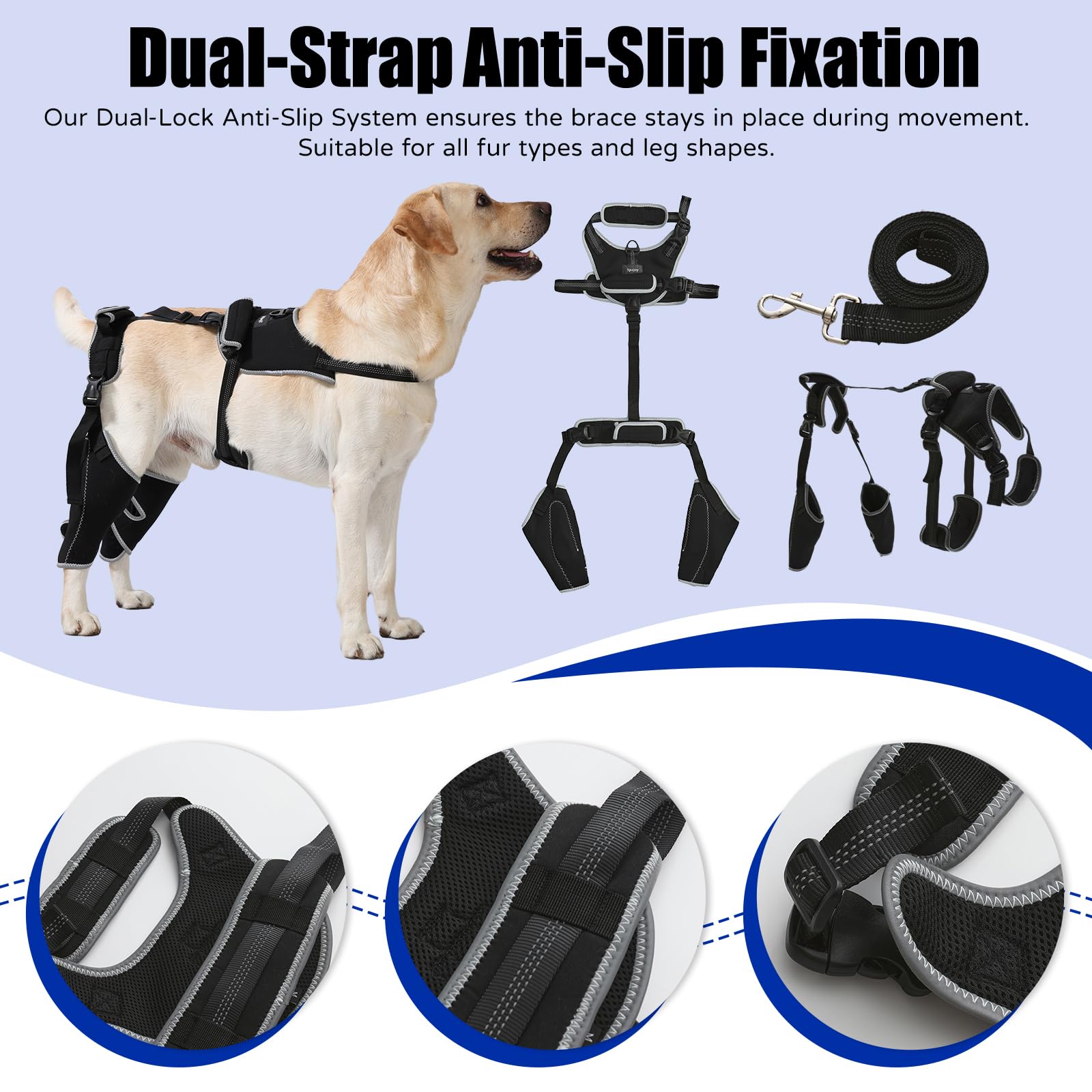 Spajoy utilisation extérieure chien: léger et portable pour garder votre chien actif.