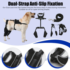 Spajoy utilisation extérieure chien: léger et portable pour garder votre chien actif.