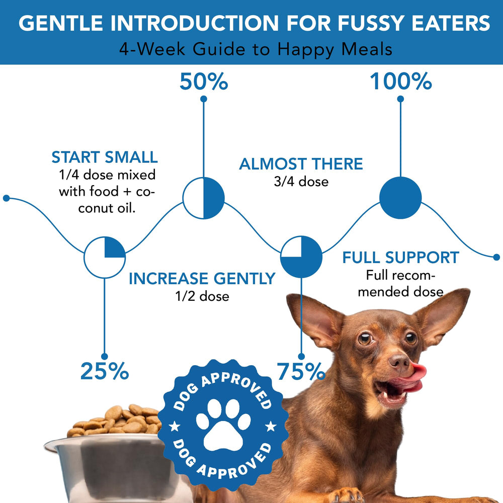 Ingrédients naturels Spanielbuns: algues et extraits pour le soin dentaire.