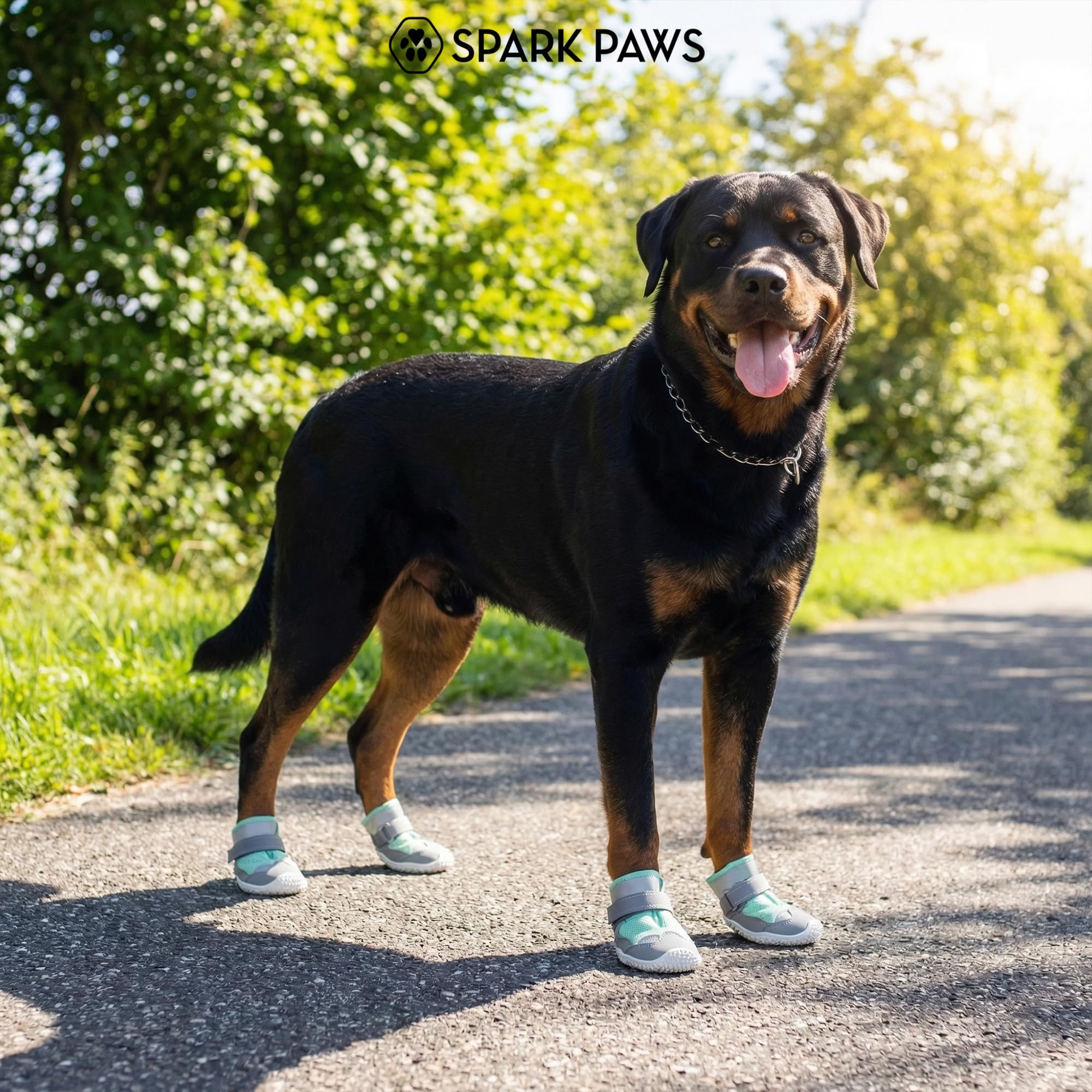 Spark Paws: bandes réfléchissantes, visibilité accrue lors des sorties.