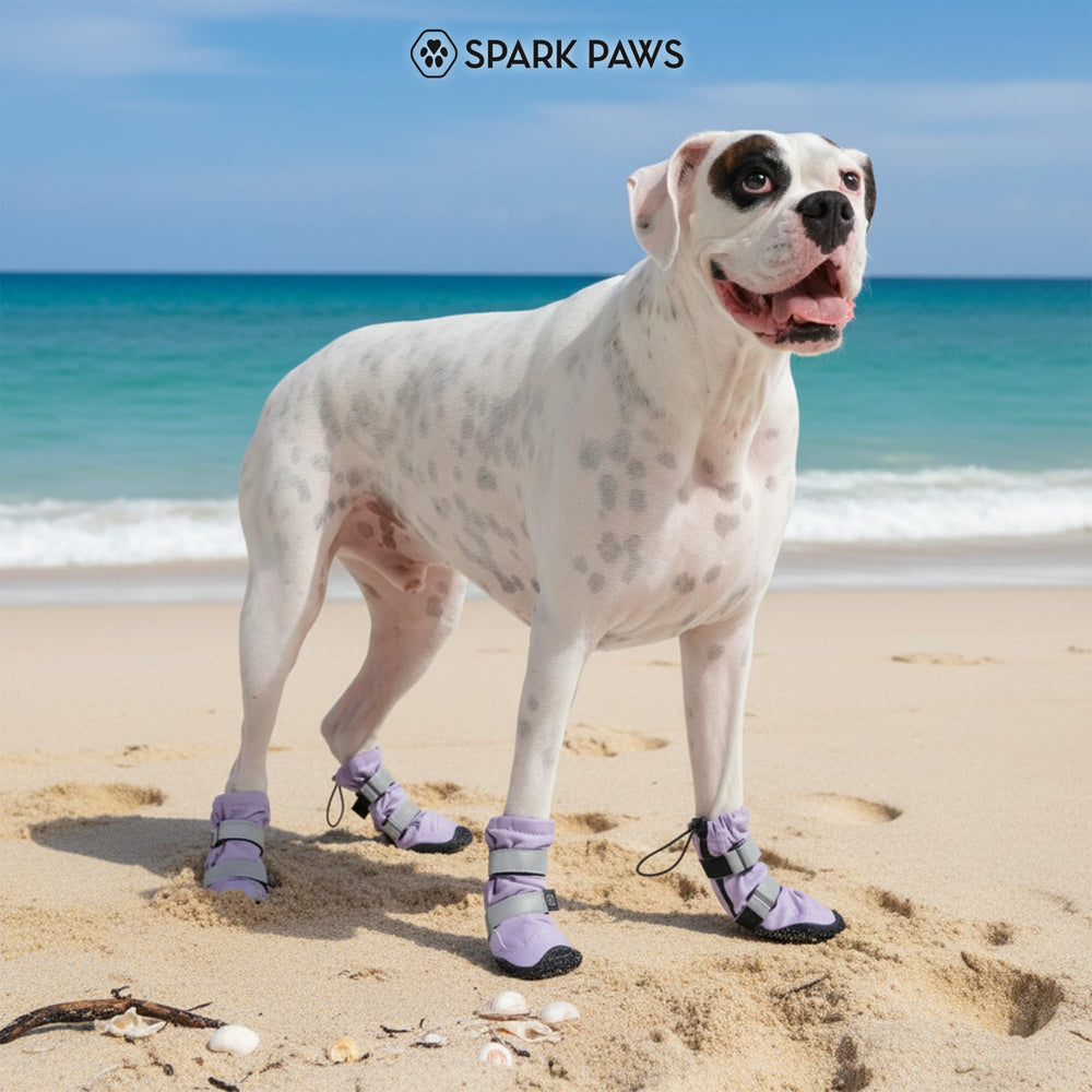 Spark Paws Bottes d'aventure pour activités extérieures et randonnées.
