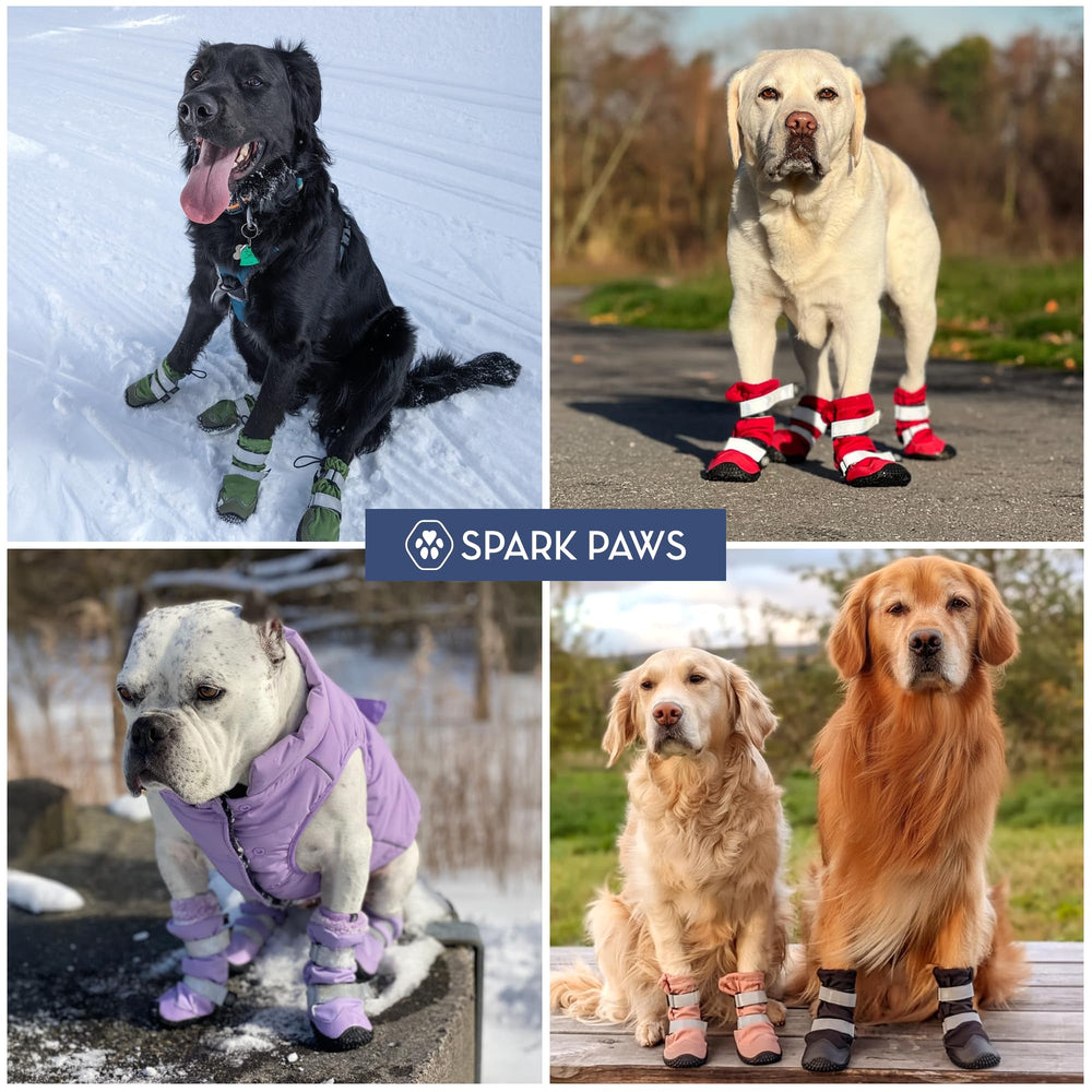 Sangles réfléchissantes Spark Paws vert camo, meilleure visibilité en soirée.