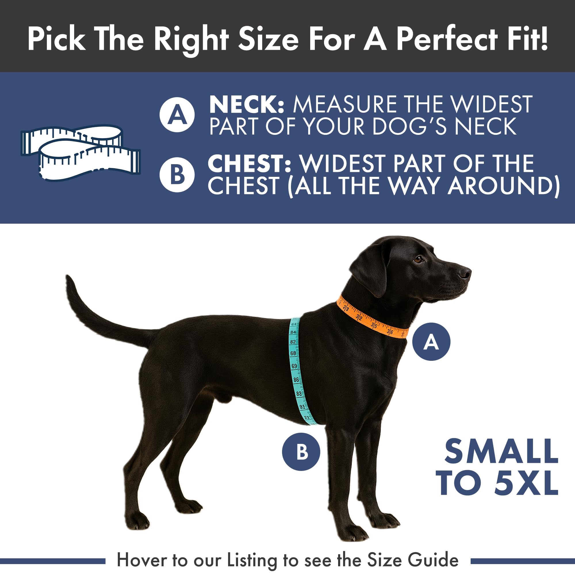 Chien essayant plusieurs tailles, démontrant la flexibilité de Spark Paws.
