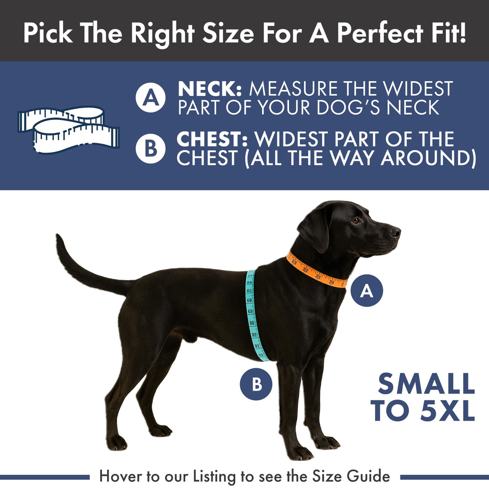 Chien essayant plusieurs tailles, démontrant la flexibilité de Spark Paws.