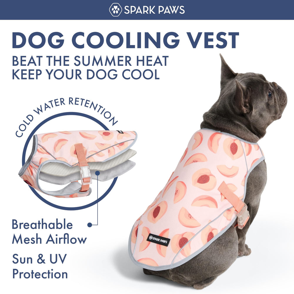 Confort léger Spark Paws idéal pour longues sorties canines.