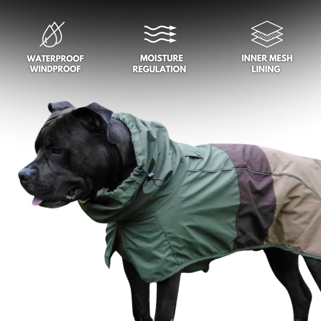 Spark Paws doublure maille respirante offrant confort lors des promenades.
