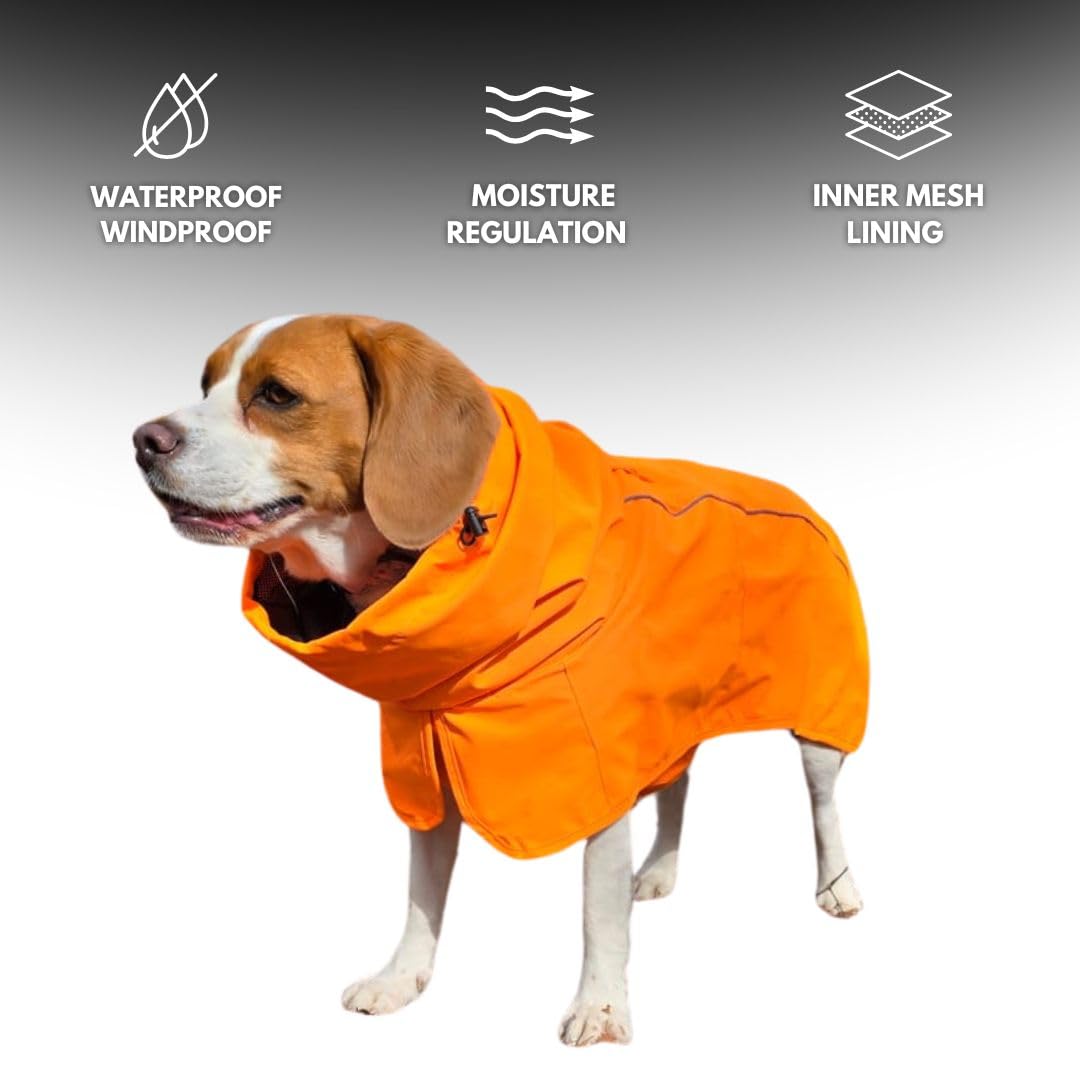 Spark Paws doublure maillée respirante assure confort avec bonne circulation d'air.