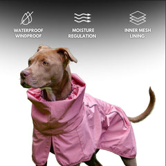 Spark Paws doublure mesh respirante pour chien, confort accru.