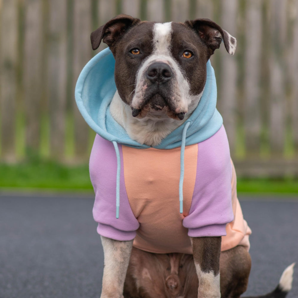 Spark Paws pull-chien Barbe à Papa, intérieur fleece doux pour chaleur agréable.