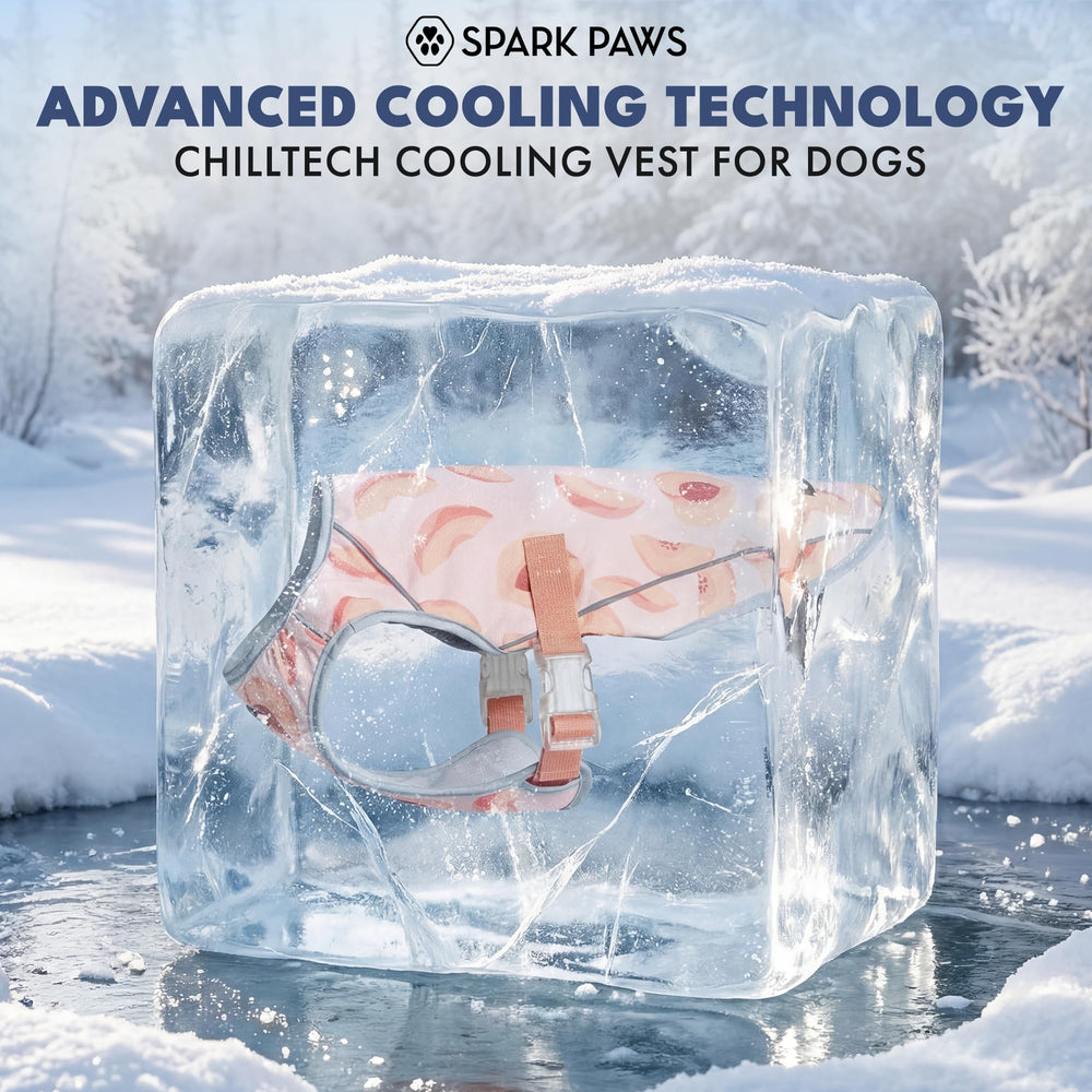 Effet rafraîchissant jusqu’à 60 minutes avec réhumidification Spark Paws.