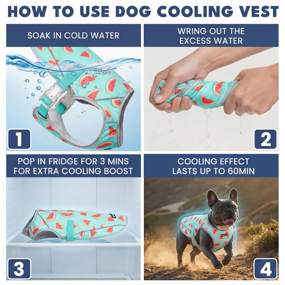 Protection UV SPF50 intégrée au gilet Spark Paws.