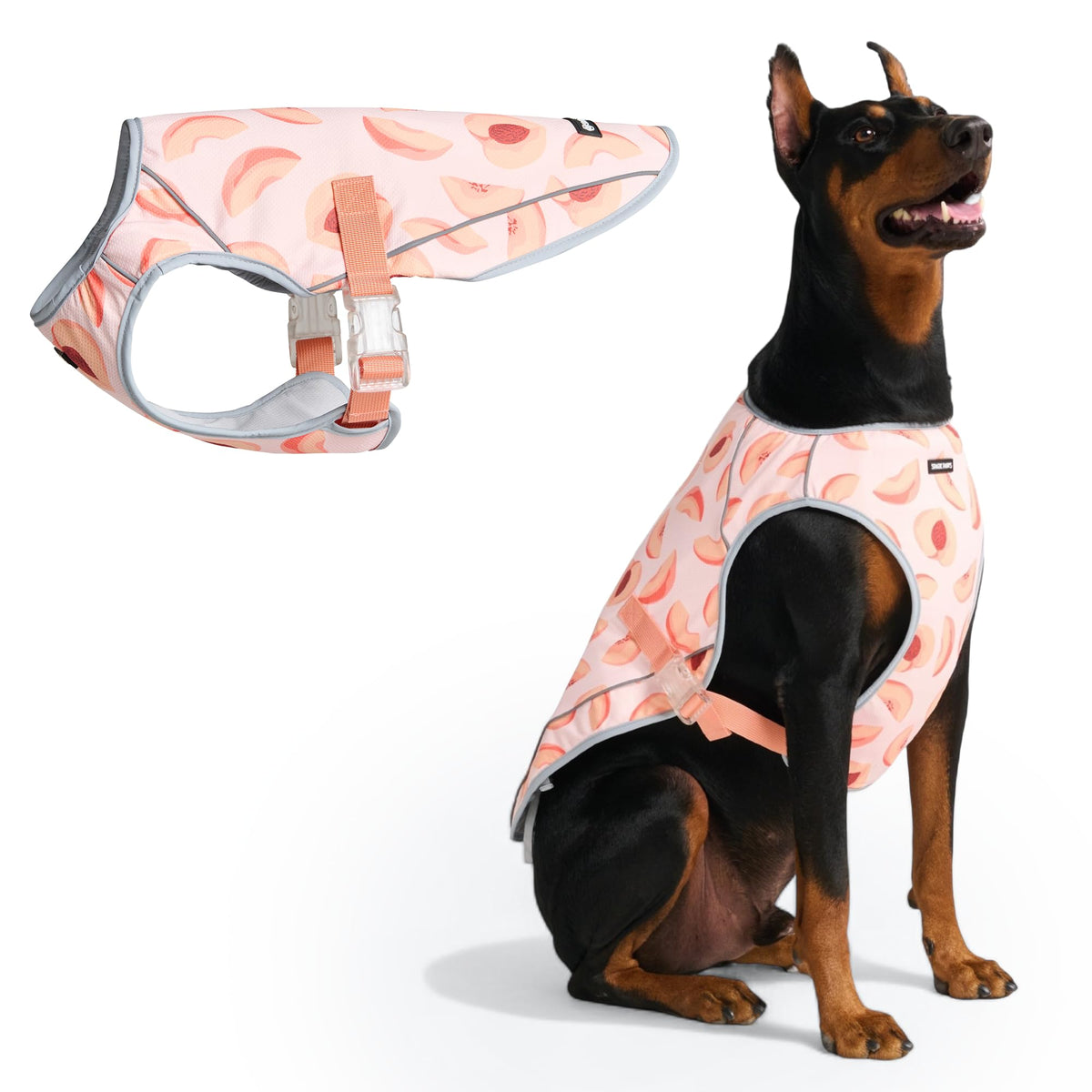 Spark Paws gilet refroidissant pour chien en action, confort immédiat.