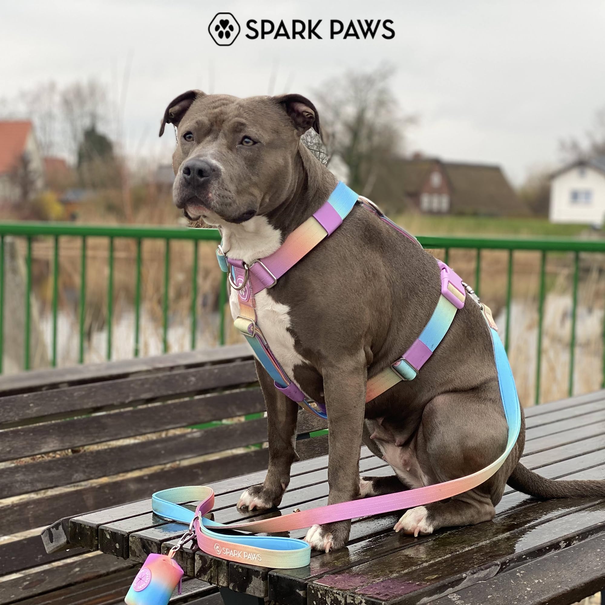 Spark Paws harnais idéal pour entraînement, randonnées et sorties quotidiennes