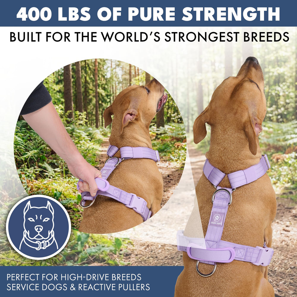 Harnais ajustable Spark Paws sur le torse pour un ajustement personnalisé.