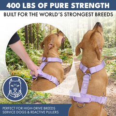 Harnais ajustable Spark Paws sur le torse pour un ajustement personnalisé.